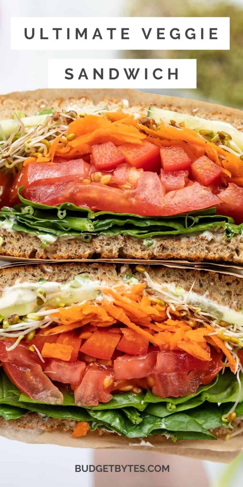 close up of a cut open veggie sandwich, title text at the top